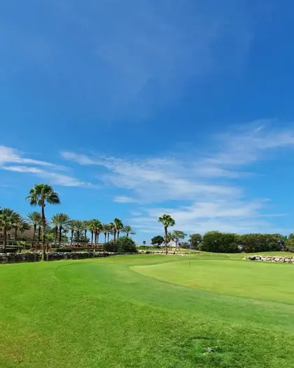 330386342_611287390328906_8427454801206950126_n